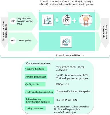 Effects of Intradialytic Cognitive and Physical Exercise Training on Cognitive and Physical Abilities in Hemodialysis Patients: Study Protocol for a Randomized Controlled Trial